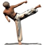 taekwondo forms (sponsored) android application logo